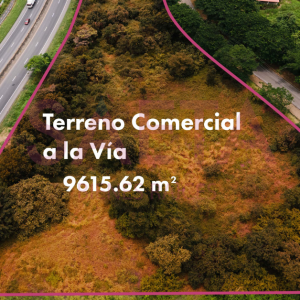 se vende terreno comercial al pie del carretero